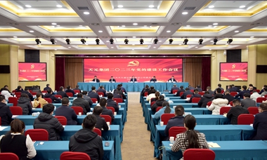 集团党委召开党的建设工作会议