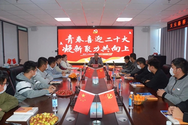 集团分公司组织青年员工座谈会